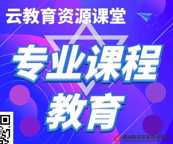 專業(yè)能力及課程視頻教程資料